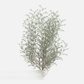 Roadside Green Leaf Plant Tree 3d model