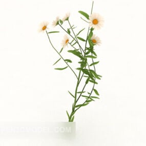 Roadside Wild Chrysanthemum Plant 3d model