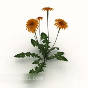 Roadside 야생 식물 꽃 3d 모델