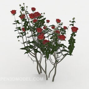 Model 3D rośliny krzewu różanego