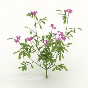Rose Red Outdoor Plant 3d model