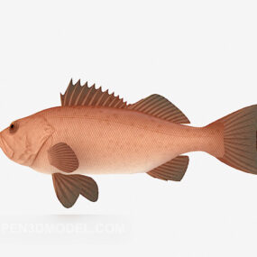 Red Seafish 3d model