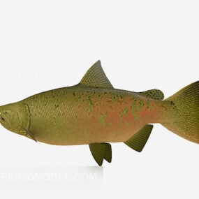 Model 3D akwarium z rybami morskimi