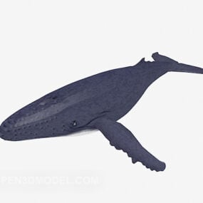 Big Whale Animal 3D-malli