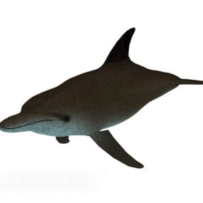 3D model plavání delfínů