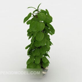 シンプルな雰囲気の屋内鉢植え3Dモデル