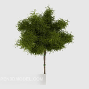 Modelo 3d de árbol joven verde común simple