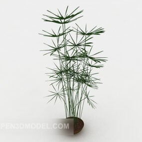 Simple Generous Indoor Bonsai 3d model