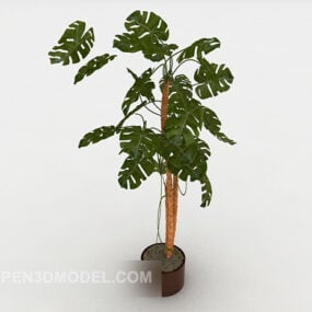 Simple Indoor Bonsai Tree 3d model
