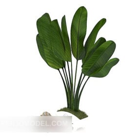 Indoor Potted Plant Decoration 3d model