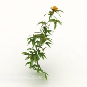 3д модель одиночного растения хризантемы