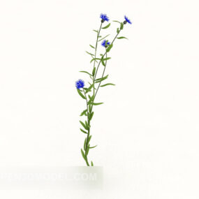 Single Plant Flower 3d model