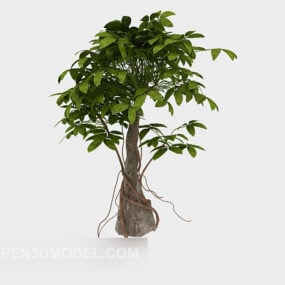 Small Tree Garden Plant 3d model