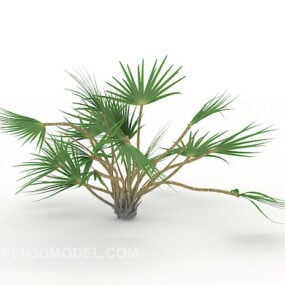 Small Conifer Plan 3d model