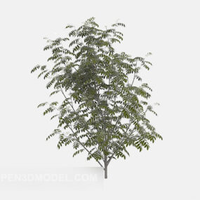 Modelo 3d de planta de folha verde pequena