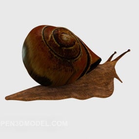 花园蜗牛动物3d模型