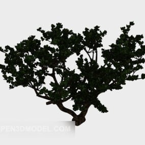 Širokolistý zahradní strom 3D model