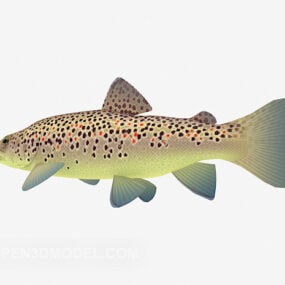 Akvárium tečkované žluté ryby zvíře 3D model