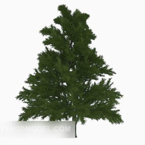 Nature Tall Pine Tree דגם תלת מימד