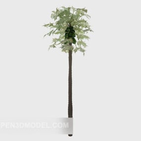 3D model tropického vysokého stromu
