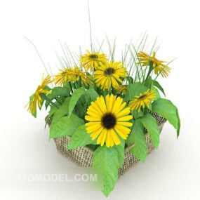 Weaving Basket Chrysanthemum Potted 3d model