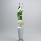 Plante vase blanc