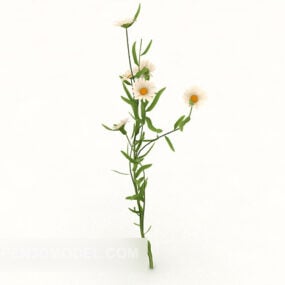 3д модель растения белой дикой хризантемы