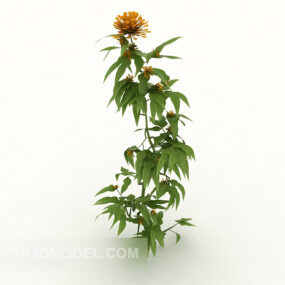Wild Chrysanthemum 3d model