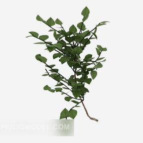 Modelo 3d de planta de folha verde selvagem