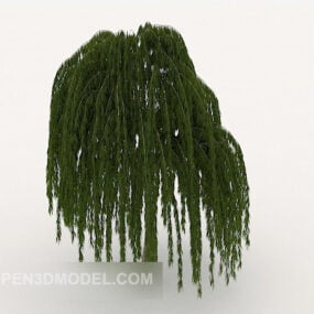 Garden Willow Tree 3d model