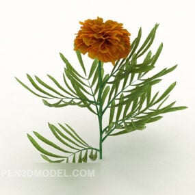 Yellow Chrysanthemum Flower 3d model
