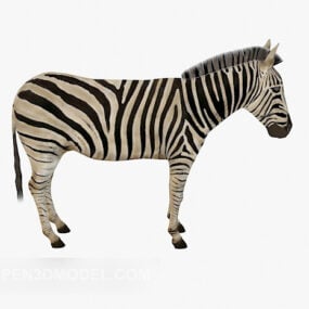 Zebra paard 3D-model