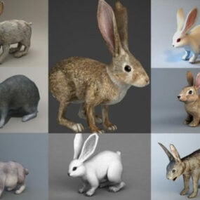 10 realistiske kanin 3D-modeller samling