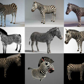 10 Bailiúchán Múnlaí Réalaíoch 3D Zebra