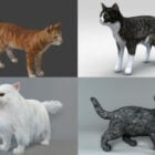 15 Beauty Cat 3D Models Collection