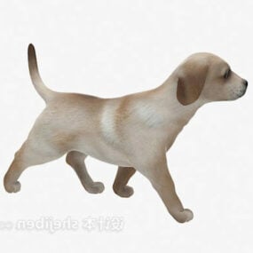 Puppy Animal 3d model
