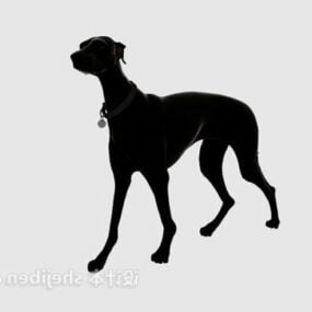 Black Dog Hunter Animal 3d model