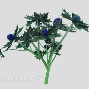 Outdoor Leaf Plant 3d model
