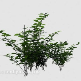 Green Plant Bushes 3d model