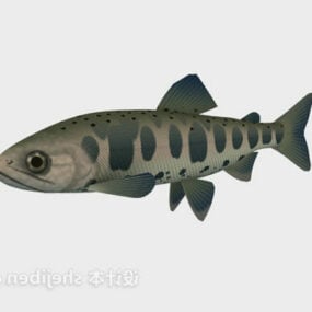 Blue River Fish 3D model