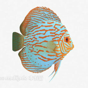Kolorowa ryba morska Model 3D zwierzęcia