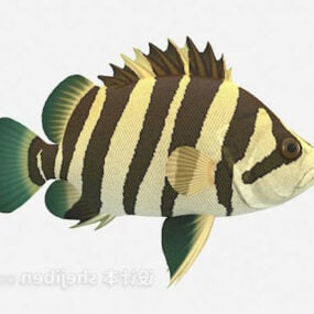 Model 3D brązowej ryby w paski