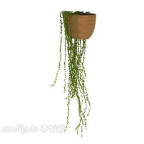 3д модель комнатного подвесного растения в горшке