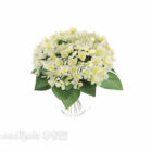 Potted Small Flower White Color