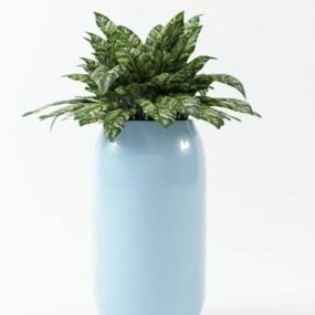 Modello 3d bonsai in vaso per interni ed esterni