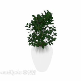 Interior Decoration Green Plant Pot 3d model