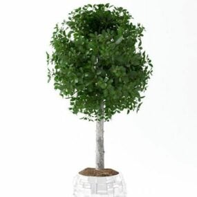 3D-Modell einer grünen Pflanzenhecke im Topf