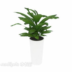 3D-Modell einer dekorativen Baumpflanze mit großen Blättern im Innenbereich