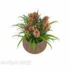 Interior Decorative Potted Plant