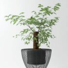 Indoor Bonsai Tree-decoratie